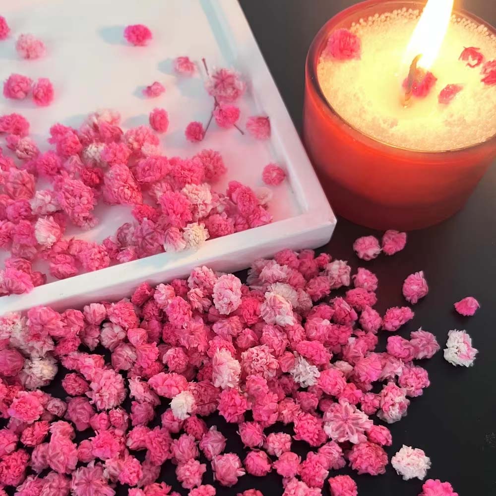 1 Kotak Campuran Bunga untuk K - Resin Art Earrings Design ulasan dan harga