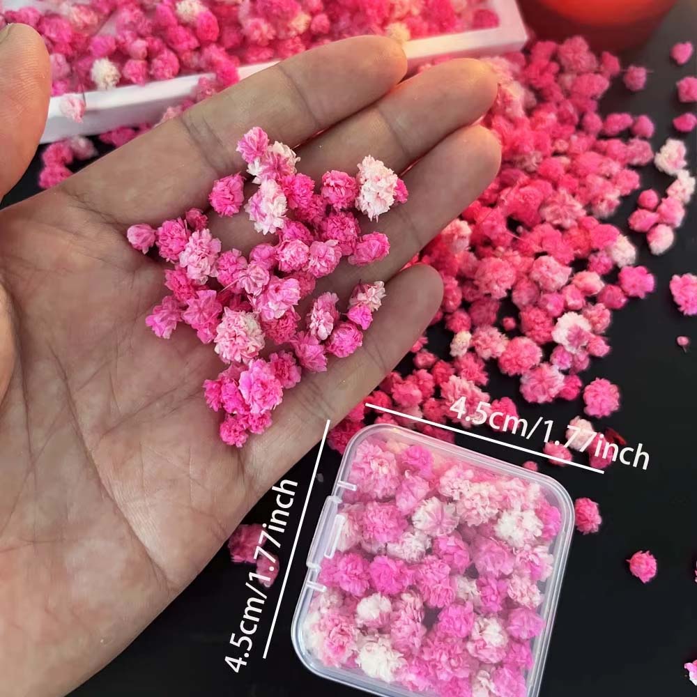 1 Kotak Campuran Bunga untuk K - Resin Art Earrings Design ulasan dan harga