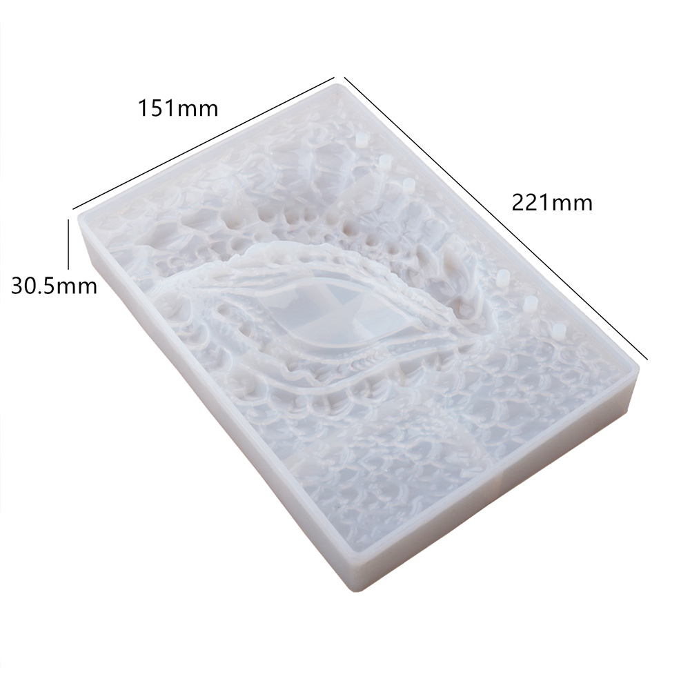 ABWZ-2 Buah Cetakan Resin Epok - Resin Art Book ulasan dan harga