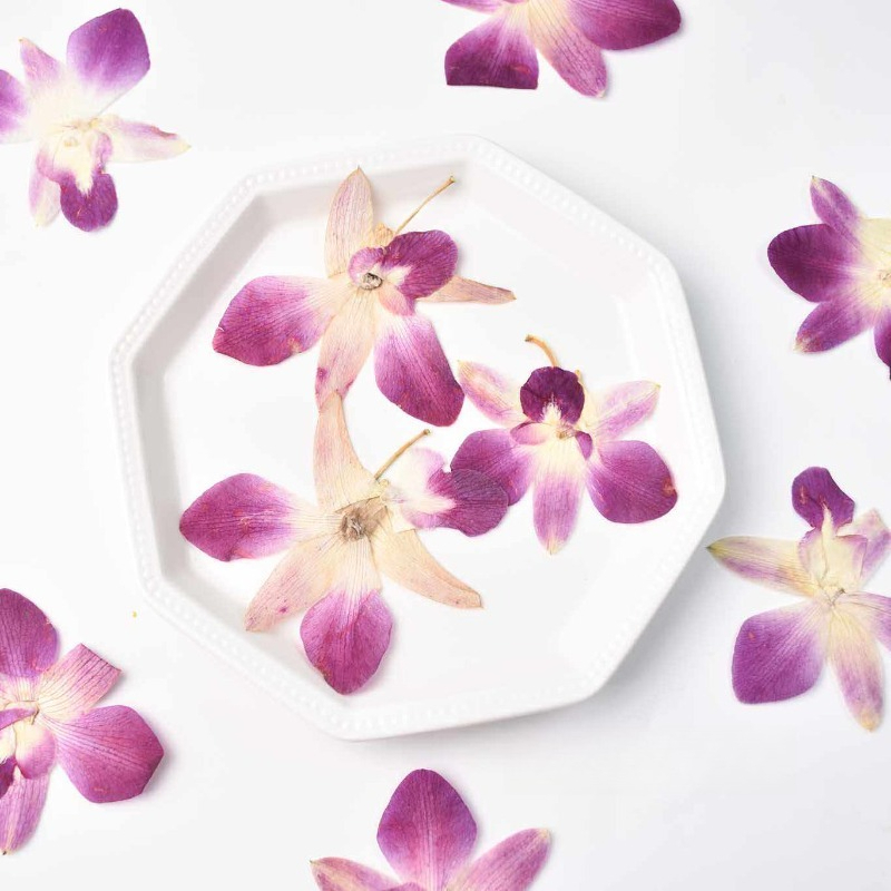 4 Buah, Bunga Anggrek Kupu-kup - Resin Art Frame ulasan dan harga