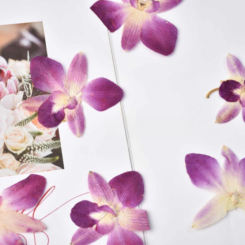 4 Buah, Bunga Anggrek Kupu-kup - Resin Art Frame ulasan dan harga