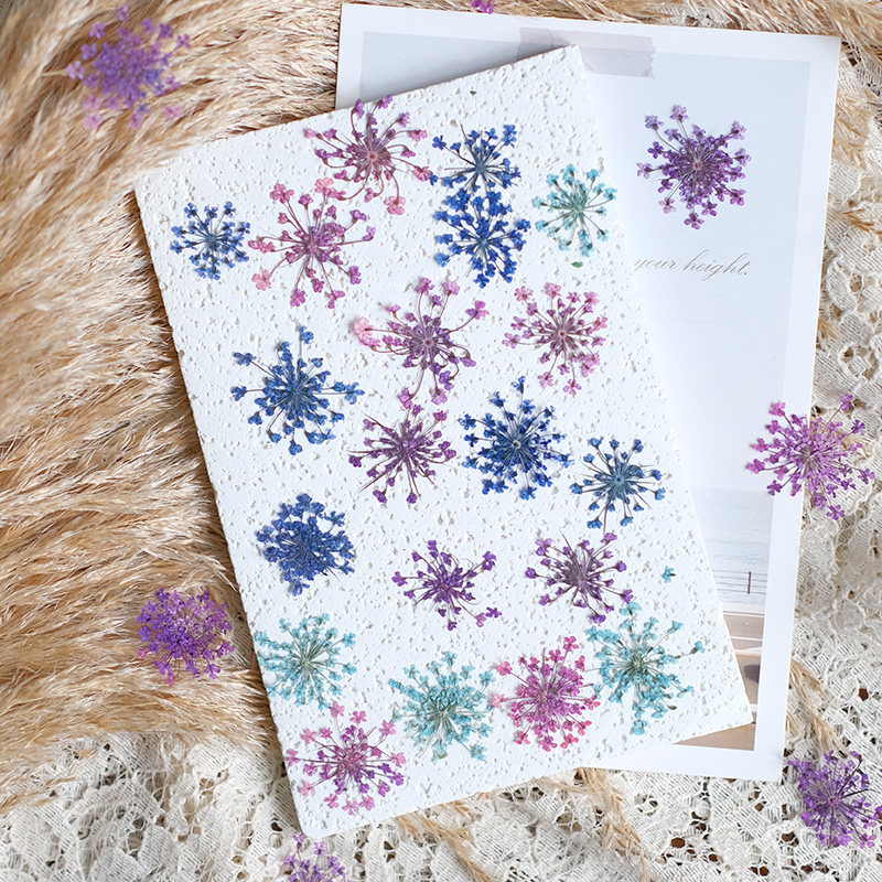 24pcs, 2-2.5cm, Kelopak Bunga  - Resin Art Frame ulasan dan harga